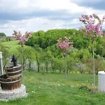 Angelina Rogaška Slatina