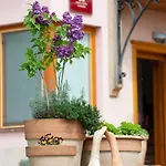 Bed & Breakfast Angelina