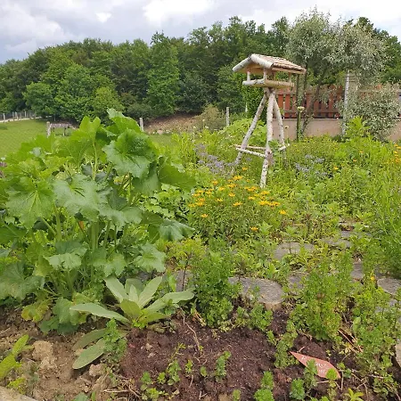 Angelina 4* רוגאסקה סלאטינה