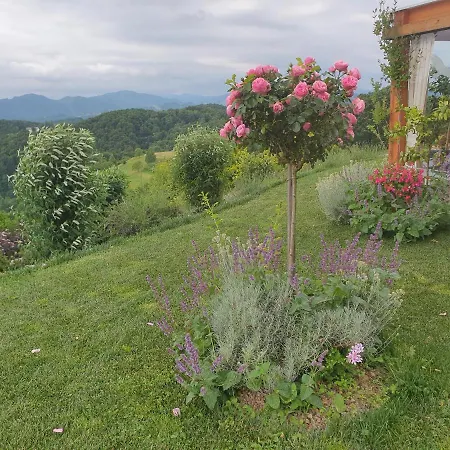 Angelina לינה וארוחת בוקר 4*