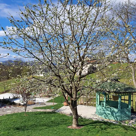 Angelina 4* רוגאסקה סלאטינה