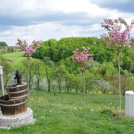 Angelina רוגאסקה סלאטינה