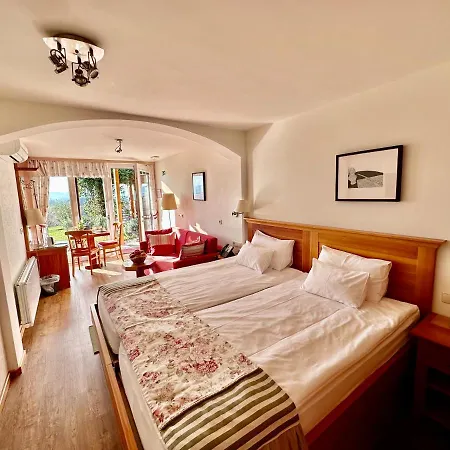 Angelina 4* Rogaška Slatina