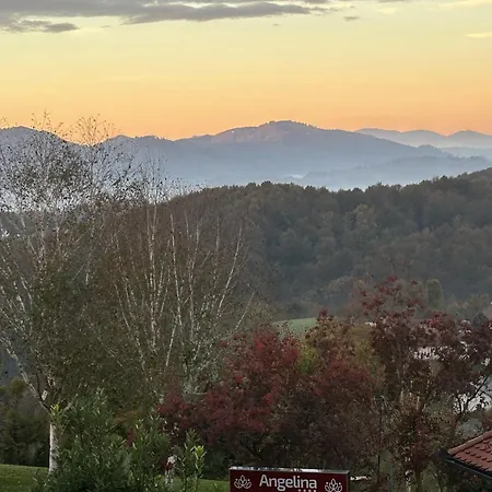 Angelina Rogaska Slatina