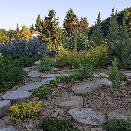 לינה וארוחת בוקר Angelina 4*