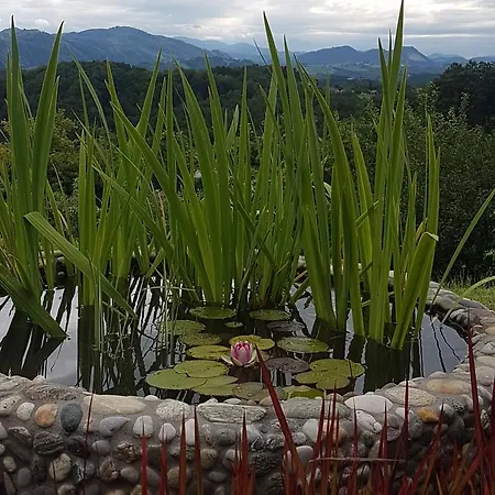 Angelina לינה וארוחת בוקר 4*