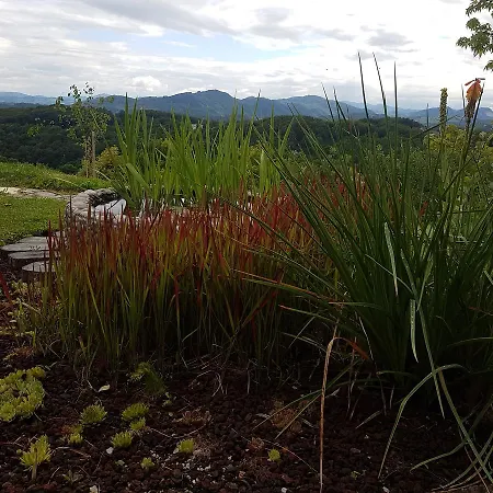 Angelina לינה וארוחת בוקר 4*