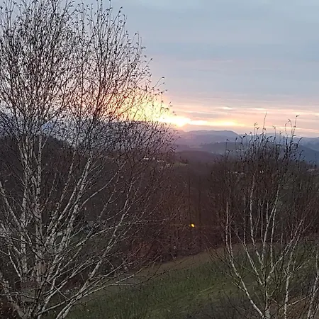 Angelina 4* Rogaška Slatina