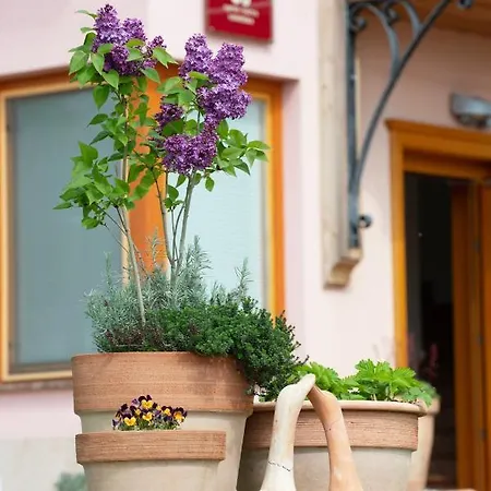 krevet i doručak Angelina