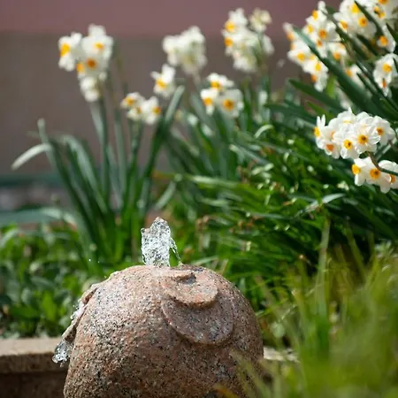 Angelina לינה וארוחת בוקר