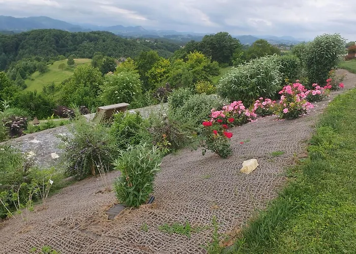 Alojamento de Acomodação e Pequeno-almoço Angelina 4*