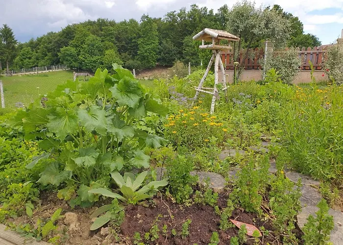 Angelina 4* Rogaška Slatina