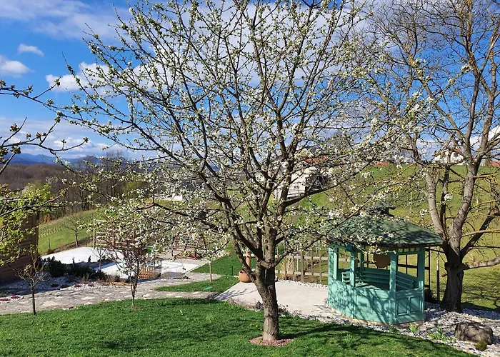 Angelina 4* Rogaška Slatina