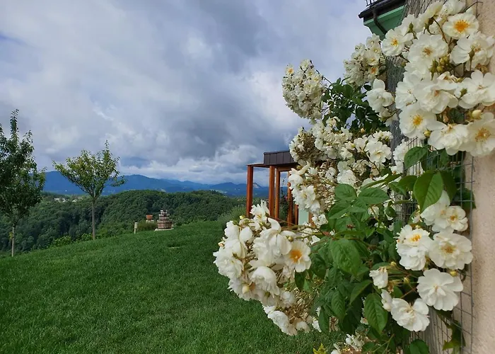 Angelina Bed & Breakfast 4*