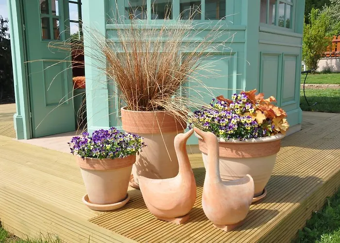 Alojamento de Acomodação e Pequeno-almoço Angelina