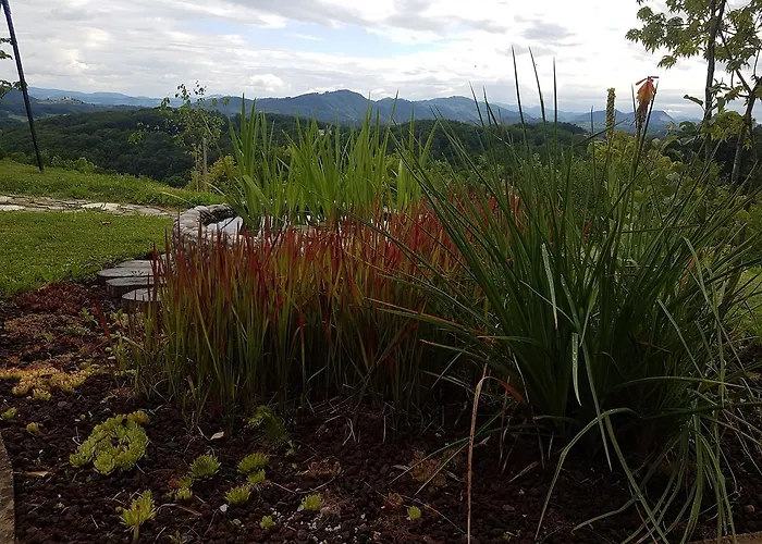 Angelina Alojamento de Acomodação e Pequeno-almoço 4*