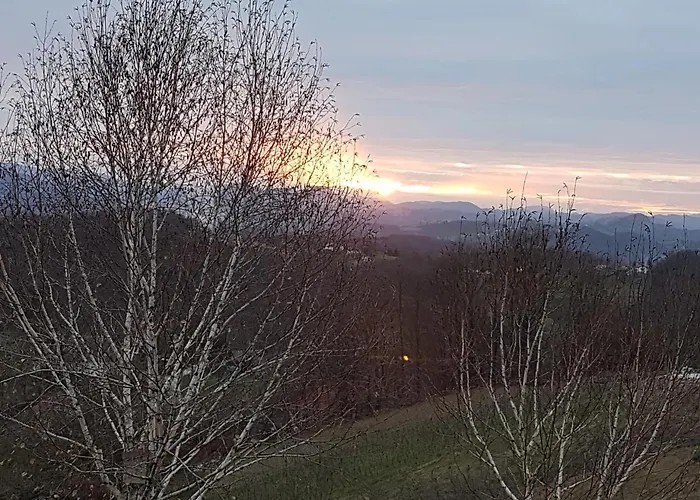 Angelina 4* Rogaška Slatina