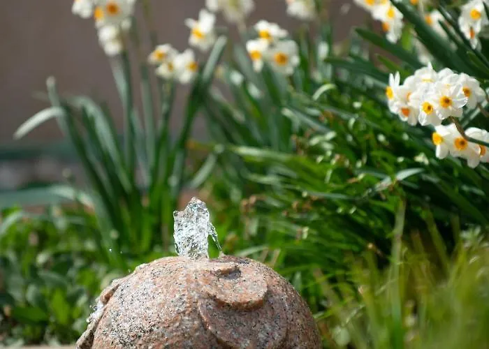 Angelina Alojamento de Acomodação e Pequeno-almoço