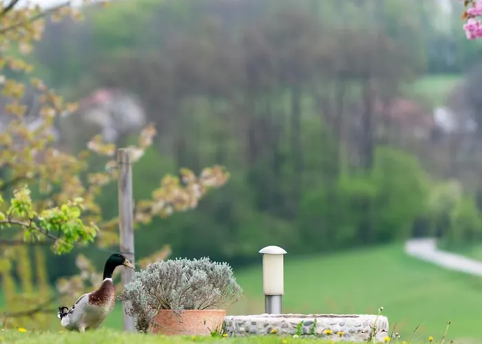 Angelina Alojamento de Acomodação e Pequeno-almoço Rogaška Slatina